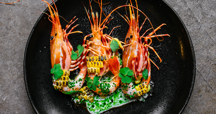 spot prawns