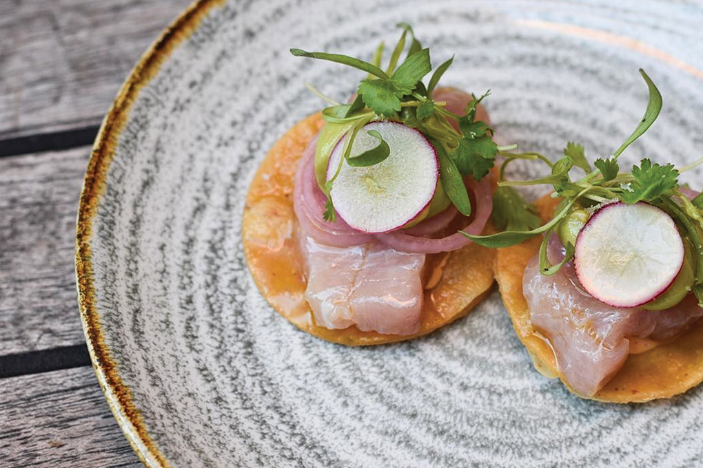 Baja Yellowtail Tostada on plate