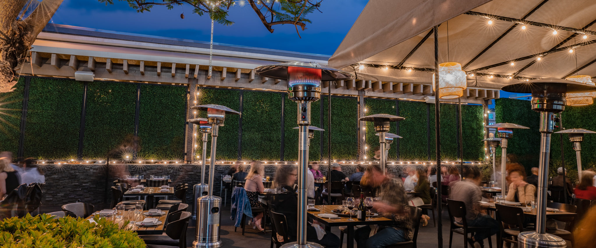 Juniper And Ivy Refined American Cuisine With A Left Coast Edge Juniper And Ivy Refined American Cuisine With A Left Coast Edge