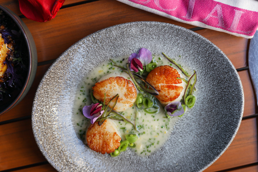 plate of three scallops in white and green sauce sitting on table