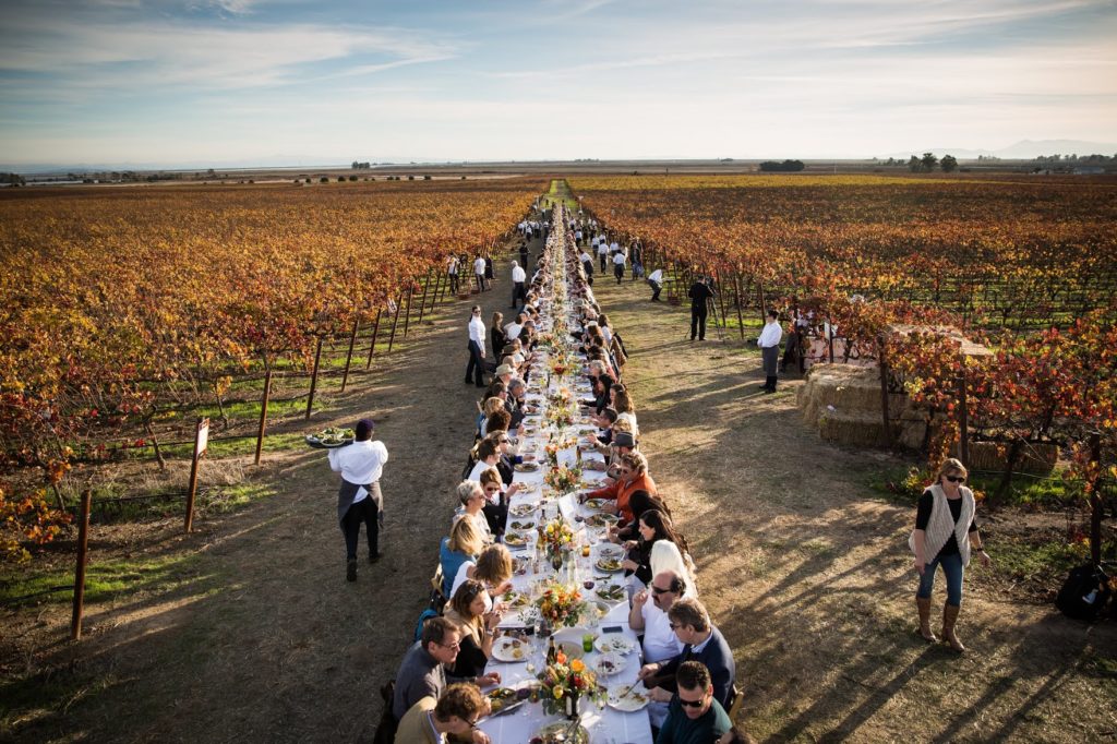 Long table in vineyard filled with hundreds of people eating.
