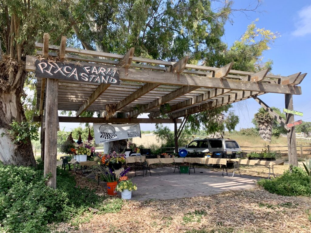 Farm stand with a sign that says Pixca Farm Stant